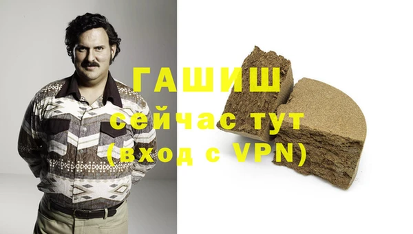 СК Алексин