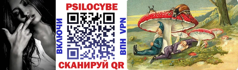 Галлюциногенные грибы Cubensis  Купить  Мытищи 